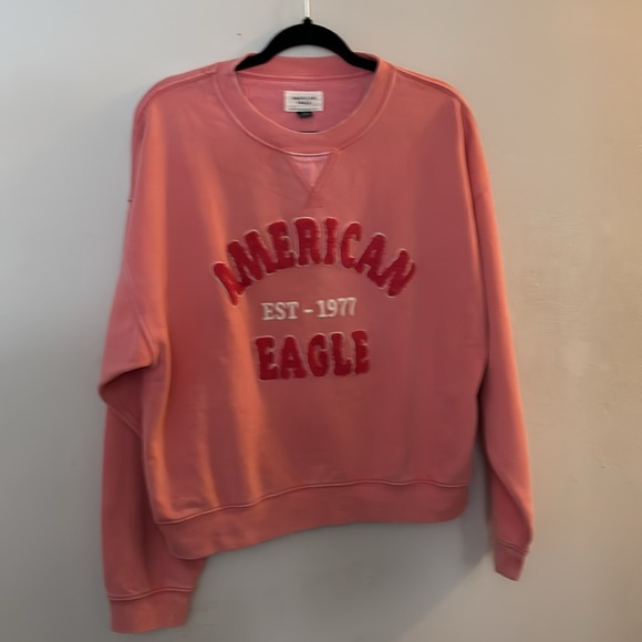 NWT AMERICAN EAGLE 🦅 LOGO CREWNECK SWEATER - Picture 14 of 16